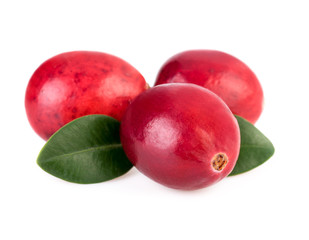 Cranberries close up. Three ripe cranberry isolated on white