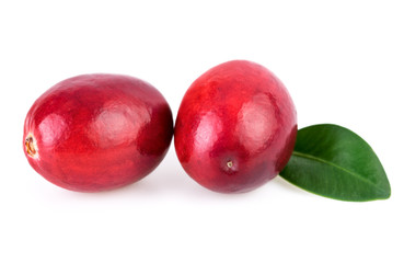 Cranberries close-up two fresh cranberry isolated on white