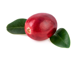 fresh cranberry one red berry isolated on white
