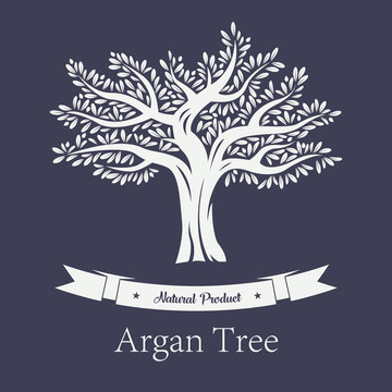 Natural tree with foliage, argania and argan plant