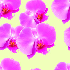 Fototapeta na wymiar Orchid. Seamless pattern texture of flowers. Floral background, photo collage