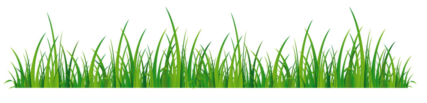Summer meadow banner