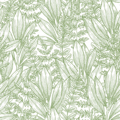 Wild flowers seamless pattern. Vintage floral background. Vector illustration