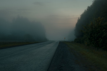 fog,  mist,  road,  landscape,  rain,  dawn