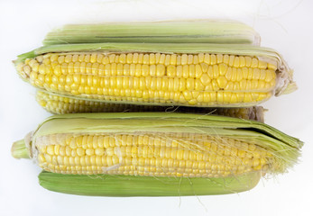 Fresh grocery store yellow corn on white background.