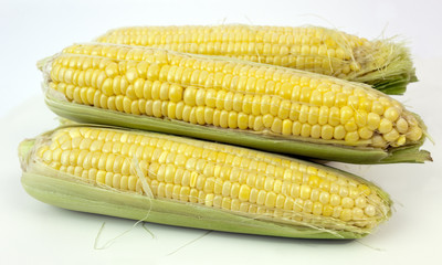 Fresh grocery store yellow corn on white background.