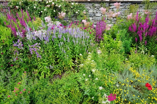 Mixed perennial flower borders in a traditional English cottage garden