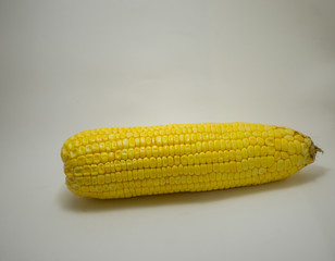 corn isolate white, Grain arrangement