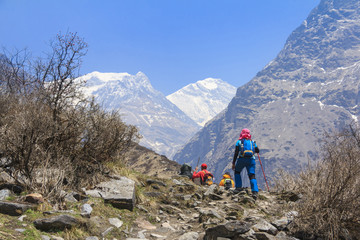 Fototapeta premium Tourists trekking in Himalaya mountain valley to Annapurna basecamp of Nepal
