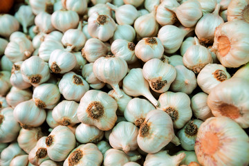 Garlic On the Market