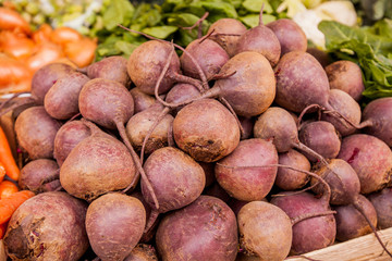 Fresh Beets Market