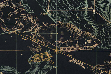 Vintage celestial map - obrazy, fototapety, plakaty