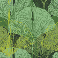 Tropikalne liście miłorzębu japońskiego. Ręcznie rysowane wektor wzór. - 142606293