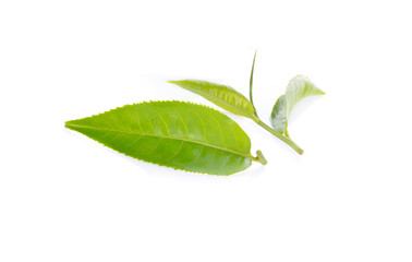tea leaves on white background
