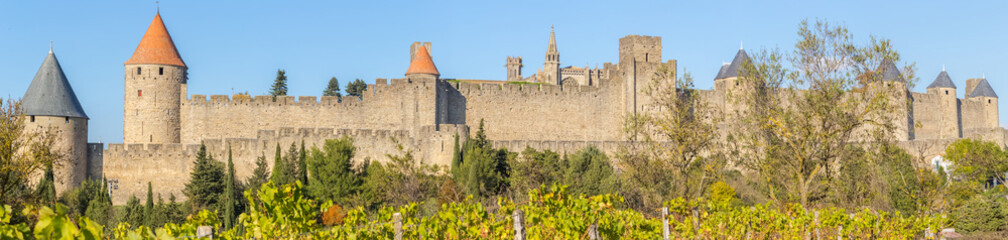 panorama de la Cité médiévale de Carcassonne, Aude, France
