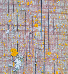 background old boards cracked, texture