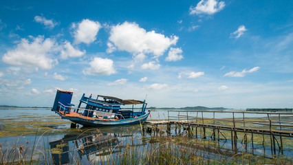 Lake daytime have a boat ,seaweed and local marina