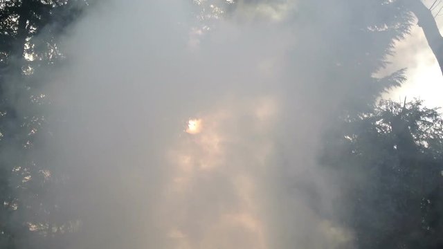 Bonfire smoke with setting sun and sunbeams