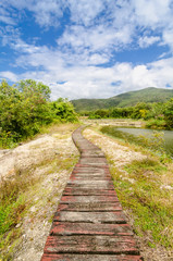  A wooden walkway