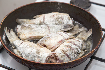 Fish carp is fried in a frying pan