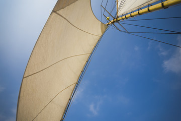 Yellow yacht sails on a blue background.