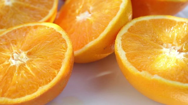 rotating plate with slices of oranges and a fly 
