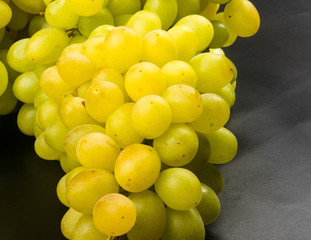 Large grapes cluster