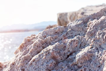 Fototapeten Sommer Rock on the shore of the Red Sea. Sunset  © poppystyle