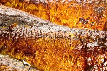 Mackerel, baked in a glass container