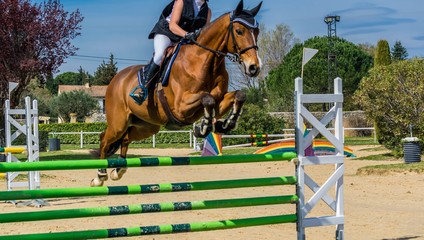 Equitation, saut d'obstacle, compétition.