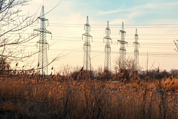 pali elettrici di alta tensione in un campo con la vegetazione erbacea al tramonto