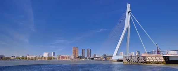 Papier Peint photo autocollant Pont Érasme Erasmusbrug Rotterdam Holland Panorama