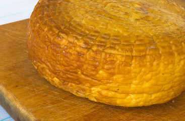 head of traditional Adygei cheese handmade