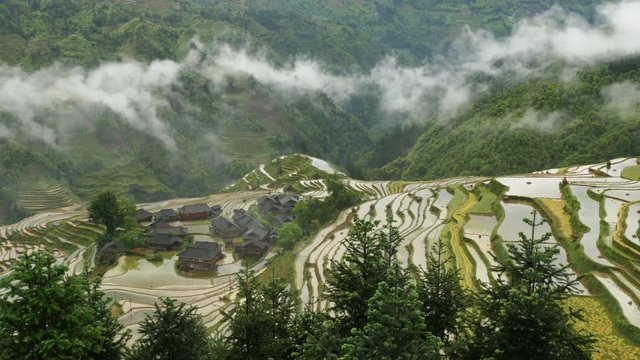 Village and Terraced Rice Field in the Fog - Jiabang, Guizhou Province, China.