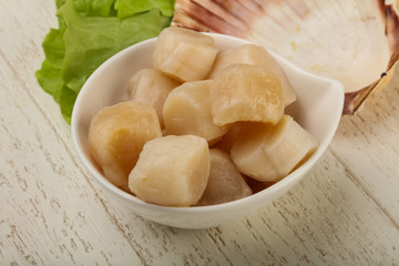 Raw scallops heap