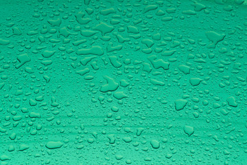 water drops on green background