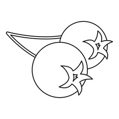 Chokeberry icon, outline style