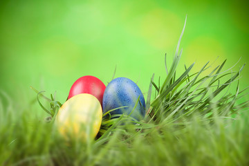 Easter colored eggs in the grass