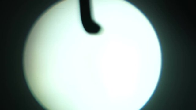 Shadow of the banana in light beam