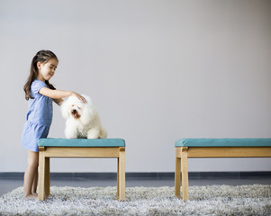 Little girl playing with white poodle in the room