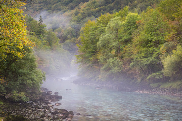 Naklejka na ściany i meble Morning scene on the Tara River in Bosnia