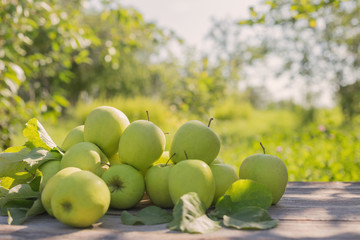 green apples on wooden background outdoor