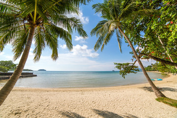 Palm trees on beautiful tropical beach on Koh Kood island in Thailand