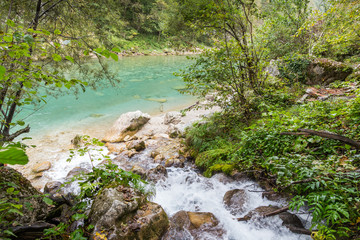 Fototapeta na wymiar Tara River in Bosnia