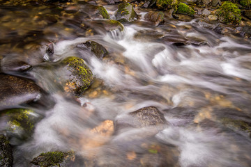 Water in a stream cascading over some rocks