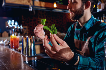 The bartender at bar holding a close-up of sprig of mint.