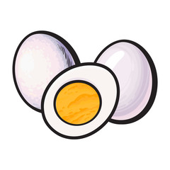 Boiled, peeled chicken egg, whole and cut in half, sketch style vector illustration isolated on white background. Hand drawn, sketched illustration, whole and half of hard boiled chicken egg