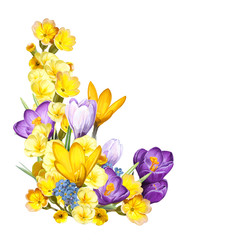 cartoon scene with beautiful and colorful flowers on white background