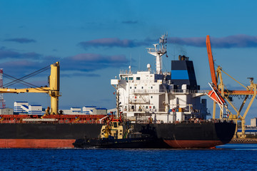 Fototapeta premium Black cargo ship mooring at the port with tug ship support