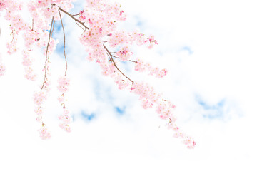 Spring style